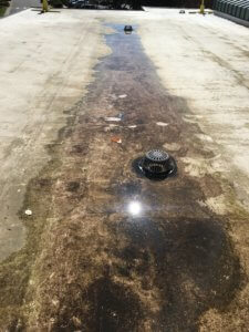 before 3 2017 08 14 18 53 16 UTC